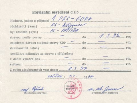 Foto 13
